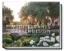 Buchcover und Innenansicht für das Buch: Mediterranes Gartendesign