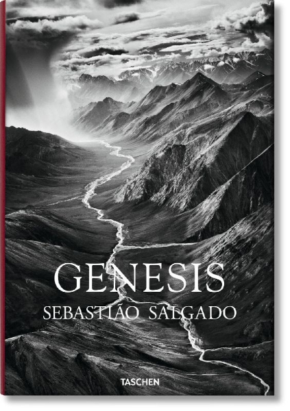 Buchcover und Innenansicht für das Buch: GENESIS