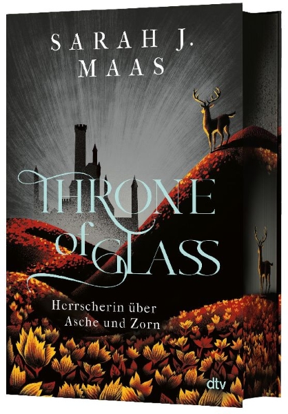 Buchcover und Innenansicht für das Buch: Kingdom of Ash