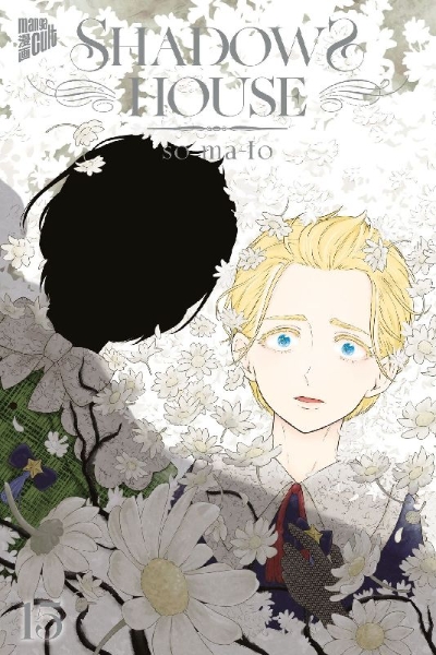 Buchcover und Innenansicht für das Buch: Shadows House 15