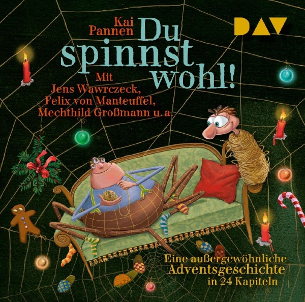 Buchcover und Innenansicht für das Buch: Du spinnst wohl! Eine außergewöhnliche Adventsgeschichte in 24 Kapiteln
