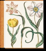 Buchcover und Innenansicht für das Buch: Basilius Besler. The Garden at Eichstätt