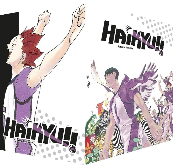 Buchcover und Innenansicht für das Buch: Haikyu!! Sammelbox 4 - Band 31-40 im Schuber
