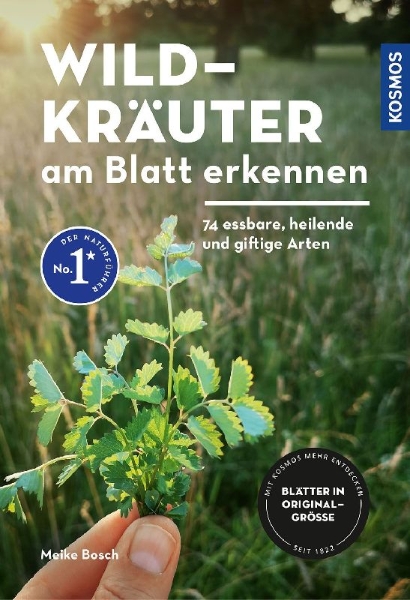 Buchcover und Innenansicht für das Buch: Wildkräuter am Blatt erkennen