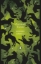 Buchcover und Innenansicht für das Buch: Animal Farm