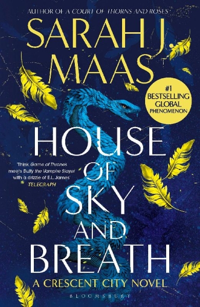 Buchcover und Innenansicht für das Buch: House of Sky and Breath