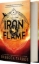 Buchcover und Innenansicht für das Buch: Iron Flame (Standard Edition)