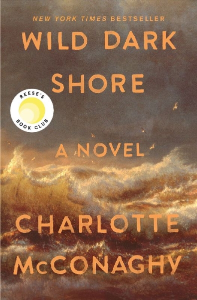 Buchcover und Innenansicht für das Buch: Wild Dark Shore