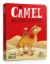 Buchcover und Innenansicht für das Buch: The Camel Who Had The Hump Board Book