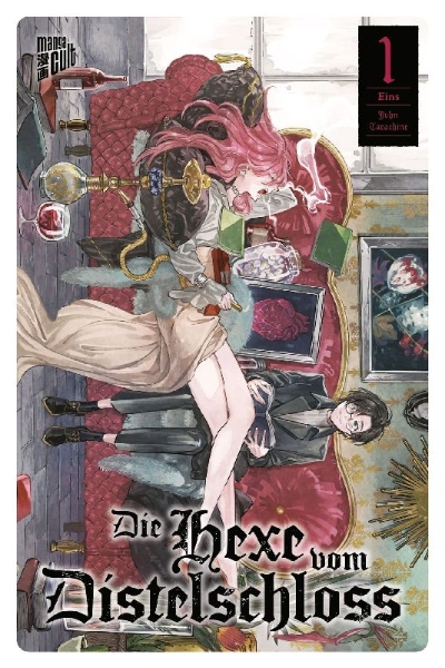 Buchcover und Innenansicht für das Buch: Die Hexe vom Distelschloss 1