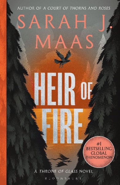 Buchcover und Innenansicht für das Buch: Heir of Fire