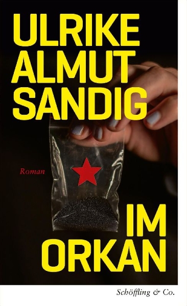 Buchcover und Innenansicht für das Buch: Im Orkan
