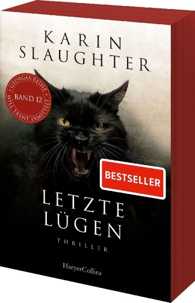 Buchcover und Innenansicht für das Buch: This is why we lied