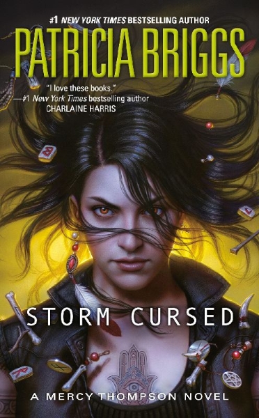 Buchcover und Innenansicht für das Buch: Storm Cursed