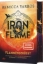 Buchcover und Innenansicht für das Buch: Iron Flame (The Empyrean 2)