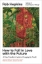 Buchcover und Innenansicht für das Buch: How to Fall in Love with the Future