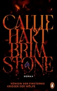 Buchcover und Innenansicht für das Buch: Brimstone