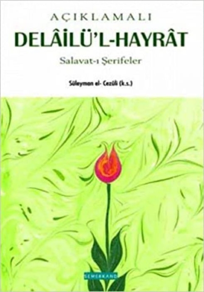 Buchcover und Innenansicht für das Buch: Aciklamali Delailü'l Hayrat