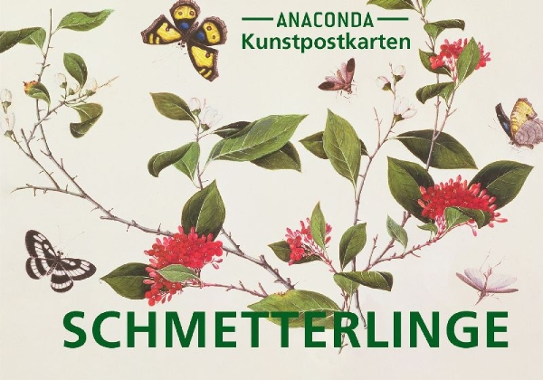 Buchcover und Innenansicht für das Buch: Postkarten-Set Schmetterlinge