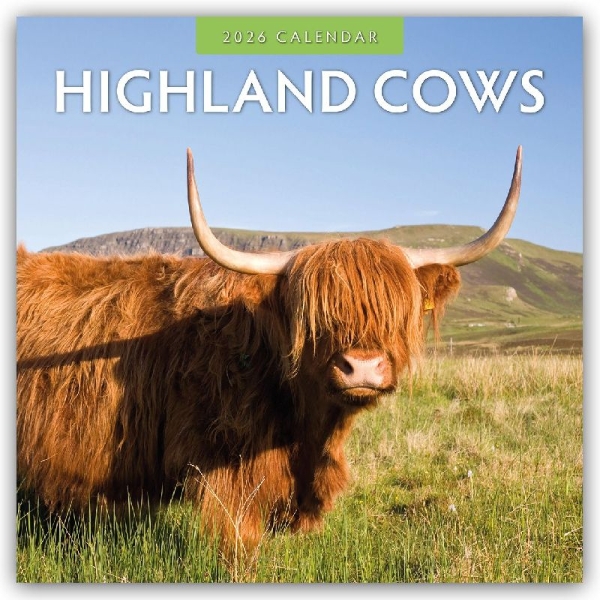 Buchcover und Innenansicht für das Buch: Highland Cows 2026 Square Wall Calendar