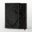 Buchcover und Innenansicht für das Buch: The Cruel Prince: Collector's Edition