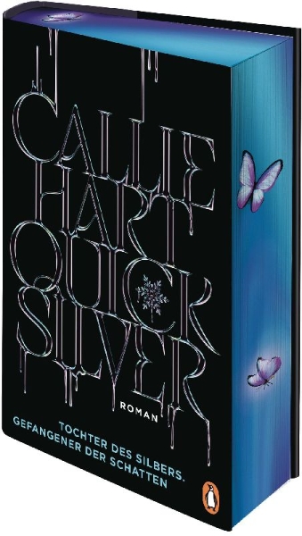 Buchcover und Innenansicht für das Buch: Quick Silver