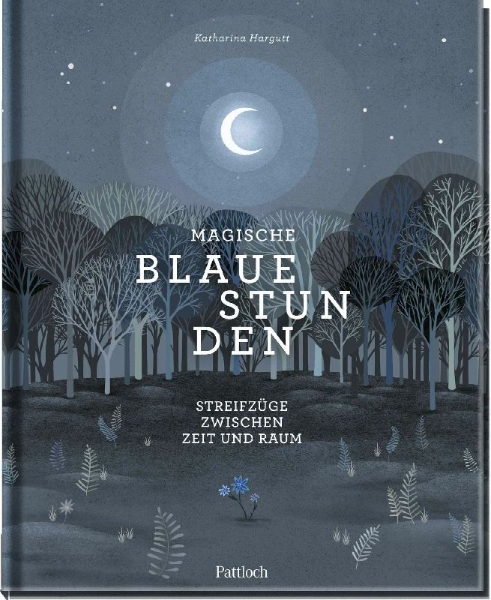 Buchcover und Innenansicht für das Buch: Magische blaue Stunden
