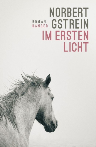 Buchcover und Innenansicht für das Buch: Im ersten Licht