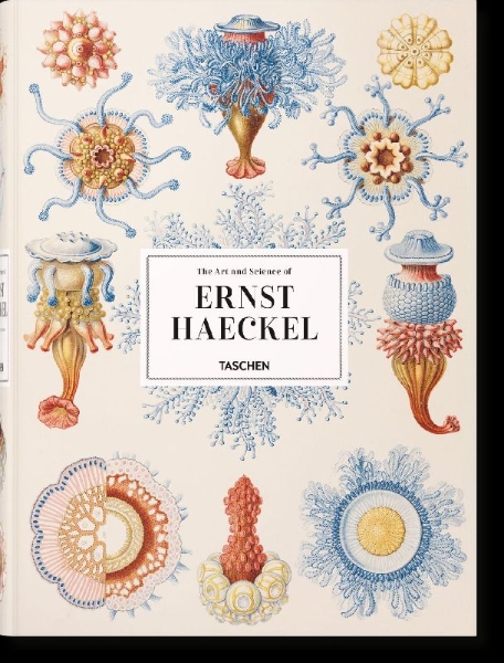 Buchcover und Innenansicht für das Buch: The Art and Science of Ernst Haeckel