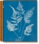 Buchcover und Innenansicht für das Buch: Anna Atkins. Cyanotypes