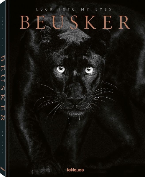 Buchcover und Innenansicht für das Buch: Beusker