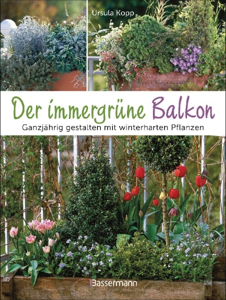 Buchcover und Innenansicht für das Buch: Der immergrüne Balkon. Ganzjährig gestalten mit winterharten Pflanzen