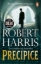 Buchcover und Innenansicht für das Buch: Precipice