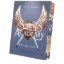 Buchcover und Innenansicht für das Buch: Saints Academy 4 - Fearless