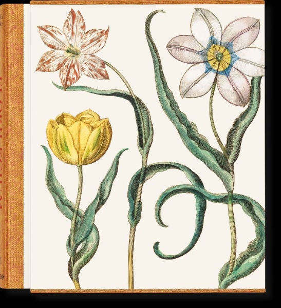 Buchcover und Innenansicht für das Buch: Besler. The Garden at Eichstätt