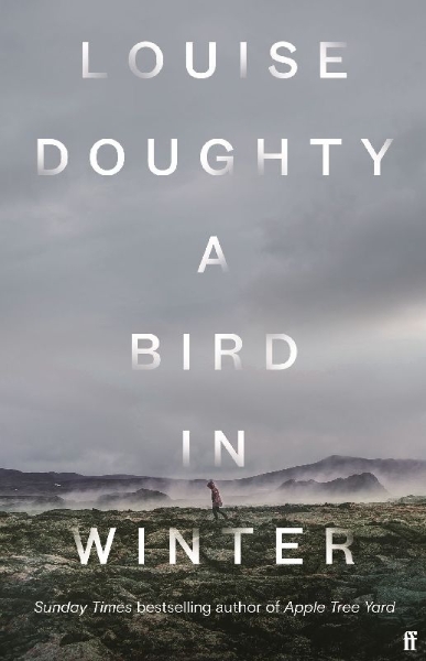 Buchcover und Innenansicht für das Buch: A Bird in Winter