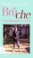 Buchcover und Innenansicht für das Buch: Brüche