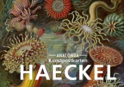 Buchcover und Innenansicht für das Buch: Postkarten-Set Ernst Haeckel