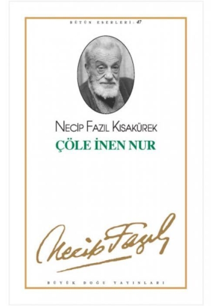 Buchcover und Innenansicht für das Buch: Cöle Inen Nur