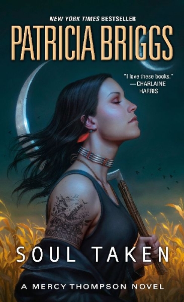 Buchcover und Innenansicht für das Buch: Soul Taken