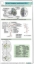 Buchcover und Innenansicht für das Buch: Neuro Imaging pocketcard Set