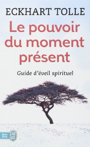 Buchcover und Innenansicht für das Buch: The Power of Now - A Guide to Spiritual Enlightenment
