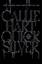 Buchcover und Innenansicht für das Buch: Quicksilver