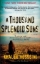 Buchcover und Innenansicht für das Buch: A Thousand Splendid Suns