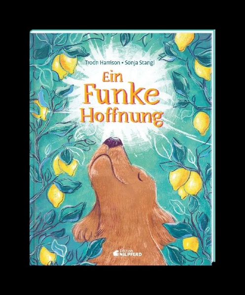 Buchcover und Innenansicht für das Buch: A Chance of Brightness