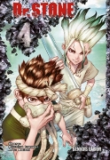 Buchcover und Innenansicht für das Buch: Dr. Stone