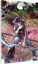Buchcover und Innenansicht für das Buch: Final Fantasy Lost Stranger