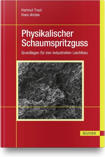 Buchcover und Innenansicht für das Buch: Physikalischer Schaumspritzguss