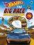 Buchcover und Innenansicht für das Buch: Hot Wheels: The Big Race