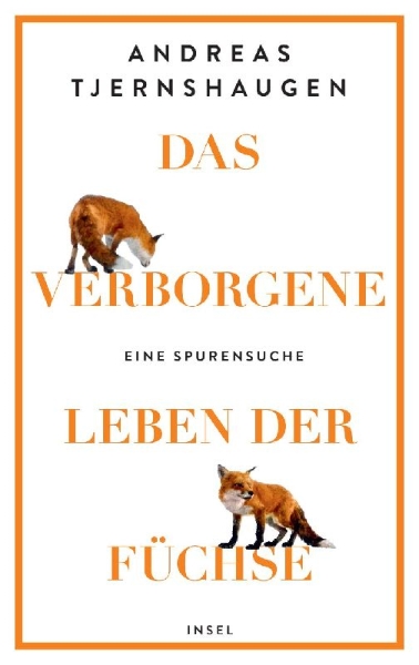 Buchcover und Innenansicht für das Buch: Reveb